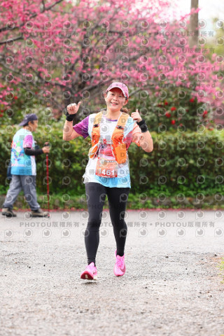 2026左岸竹東櫻花馬拉松Zhudong Sakura Marathon