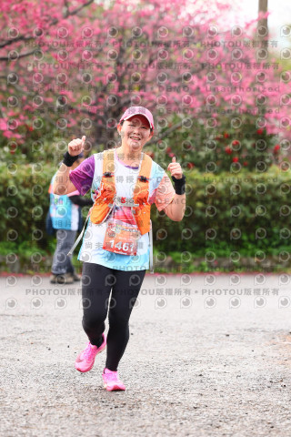 2026左岸竹東櫻花馬拉松Zhudong Sakura Marathon
