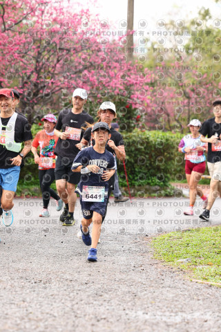 2026左岸竹東櫻花馬拉松Zhudong Sakura Marathon