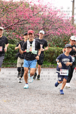 2026左岸竹東櫻花馬拉松Zhudong Sakura Marathon