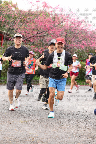2026左岸竹東櫻花馬拉松Zhudong Sakura Marathon