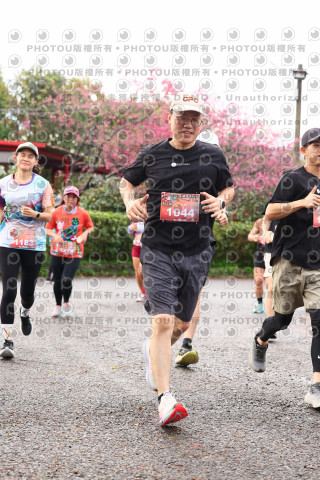 2026左岸竹東櫻花馬拉松Zhudong Sakura Marathon