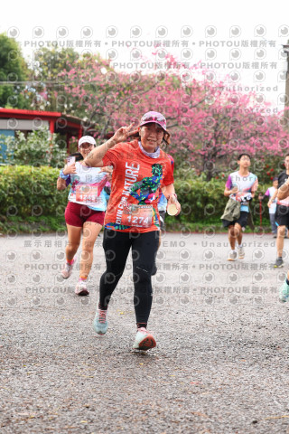 2026左岸竹東櫻花馬拉松Zhudong Sakura Marathon