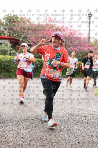 2026左岸竹東櫻花馬拉松Zhudong Sakura Marathon