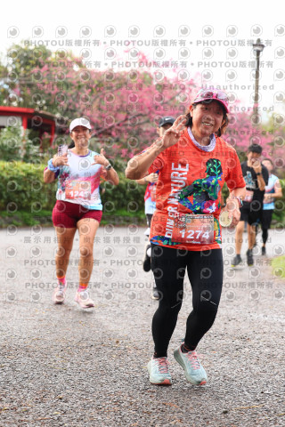 2026左岸竹東櫻花馬拉松Zhudong Sakura Marathon