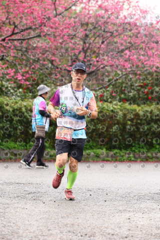 2026左岸竹東櫻花馬拉松Zhudong Sakura Marathon