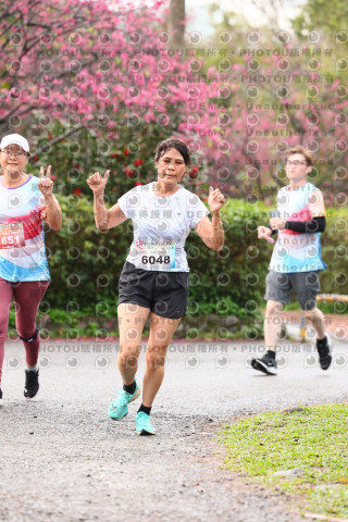 2026左岸竹東櫻花馬拉松Zhudong Sakura Marathon