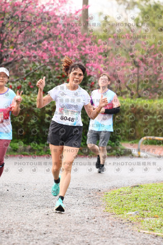 2026左岸竹東櫻花馬拉松Zhudong Sakura Marathon
