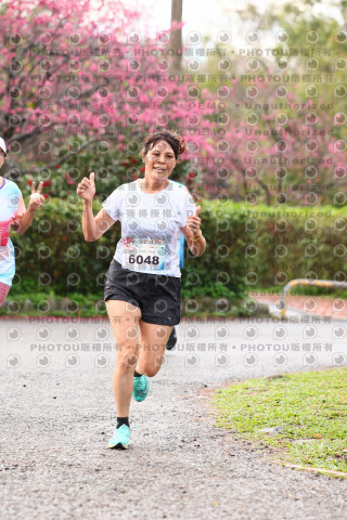 2026左岸竹東櫻花馬拉松Zhudong Sakura Marathon