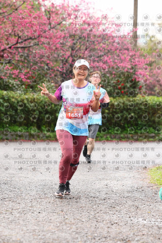 2026左岸竹東櫻花馬拉松Zhudong Sakura Marathon