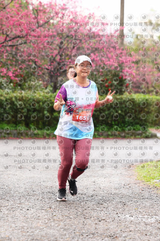 2026左岸竹東櫻花馬拉松Zhudong Sakura Marathon