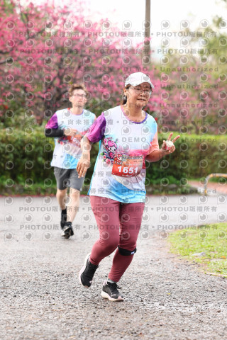 2026左岸竹東櫻花馬拉松Zhudong Sakura Marathon