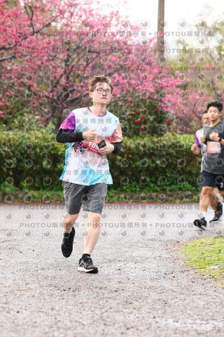 2026左岸竹東櫻花馬拉松Zhudong Sakura Marathon