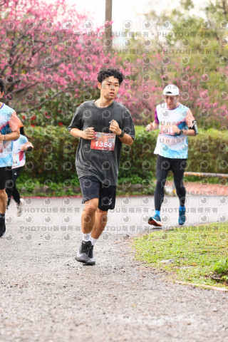 2026左岸竹東櫻花馬拉松Zhudong Sakura Marathon