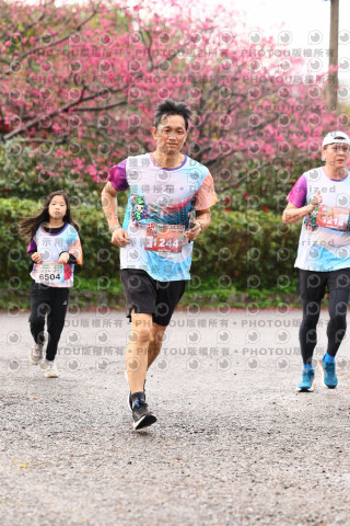2026左岸竹東櫻花馬拉松Zhudong Sakura Marathon