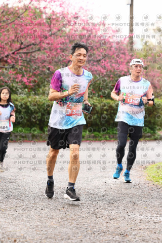 2026左岸竹東櫻花馬拉松Zhudong Sakura Marathon