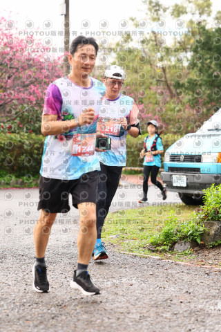 2026左岸竹東櫻花馬拉松Zhudong Sakura Marathon