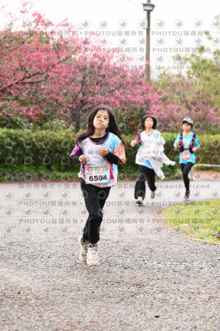 2026左岸竹東櫻花馬拉松Zhudong Sakura Marathon