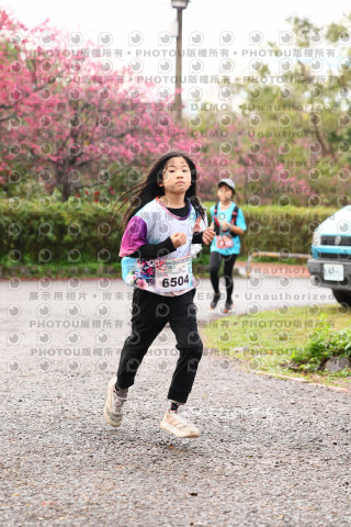 2026左岸竹東櫻花馬拉松Zhudong Sakura Marathon