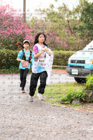 2026左岸竹東櫻花馬拉松Zhudong Sakura Marathon
