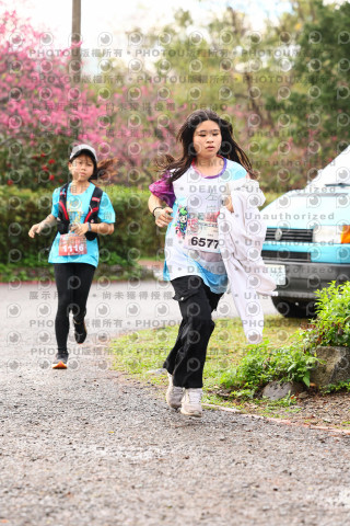 2026左岸竹東櫻花馬拉松Zhudong Sakura Marathon