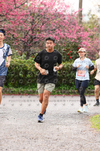 2026左岸竹東櫻花馬拉松Zhudong Sakura Marathon