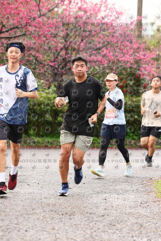 2026左岸竹東櫻花馬拉松Zhudong Sakura Marathon