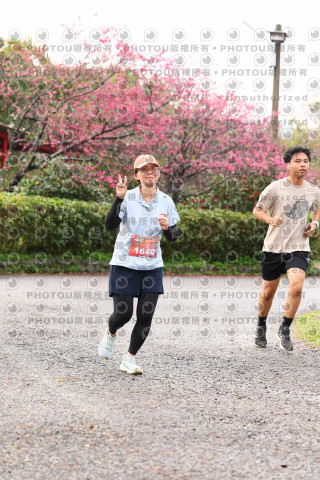 2026左岸竹東櫻花馬拉松Zhudong Sakura Marathon