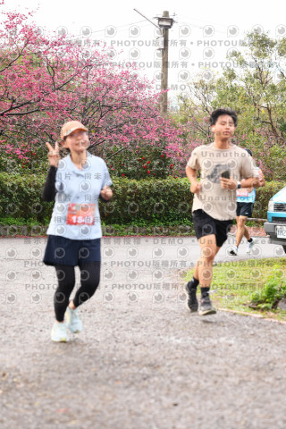 2026左岸竹東櫻花馬拉松Zhudong Sakura Marathon