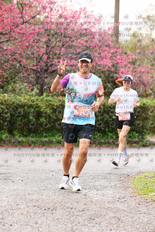 2026左岸竹東櫻花馬拉松Zhudong Sakura Marathon