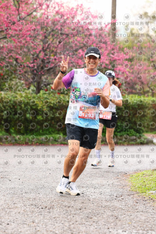 2026左岸竹東櫻花馬拉松Zhudong Sakura Marathon