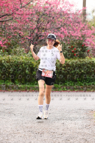 2026左岸竹東櫻花馬拉松Zhudong Sakura Marathon