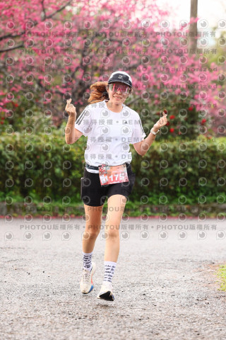 2026左岸竹東櫻花馬拉松Zhudong Sakura Marathon