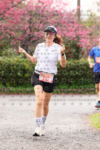 2026左岸竹東櫻花馬拉松Zhudong Sakura Marathon