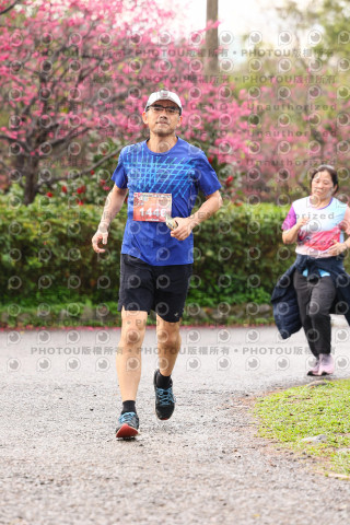 2026左岸竹東櫻花馬拉松Zhudong Sakura Marathon