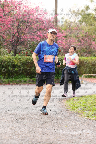 2026左岸竹東櫻花馬拉松Zhudong Sakura Marathon