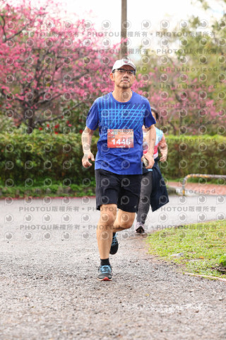 2026左岸竹東櫻花馬拉松Zhudong Sakura Marathon