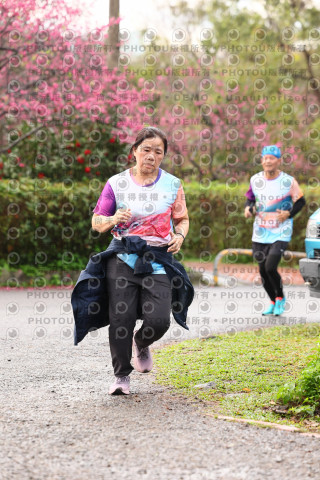 2026左岸竹東櫻花馬拉松Zhudong Sakura Marathon