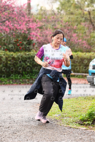 2026左岸竹東櫻花馬拉松Zhudong Sakura Marathon