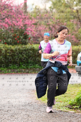 2026左岸竹東櫻花馬拉松Zhudong Sakura Marathon