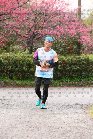 2026左岸竹東櫻花馬拉松Zhudong Sakura Marathon