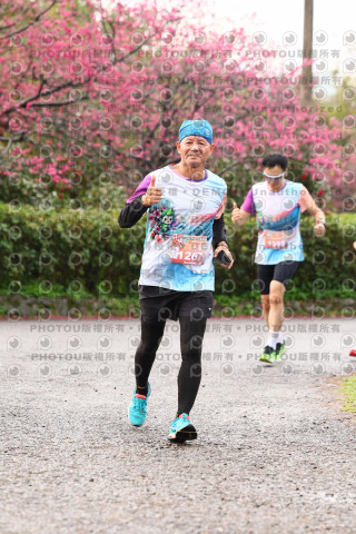 2026左岸竹東櫻花馬拉松Zhudong Sakura Marathon