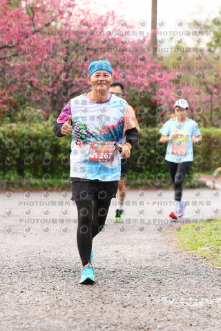 2026左岸竹東櫻花馬拉松Zhudong Sakura Marathon