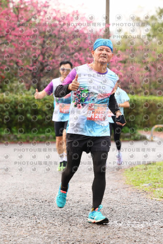 2026左岸竹東櫻花馬拉松Zhudong Sakura Marathon