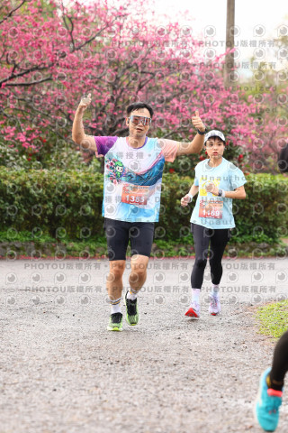 2026左岸竹東櫻花馬拉松Zhudong Sakura Marathon