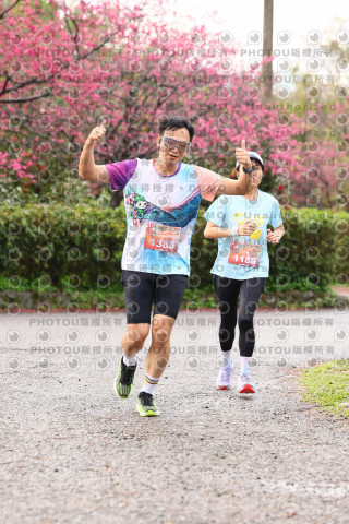 2026左岸竹東櫻花馬拉松Zhudong Sakura Marathon