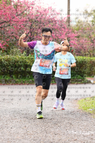 2026左岸竹東櫻花馬拉松Zhudong Sakura Marathon