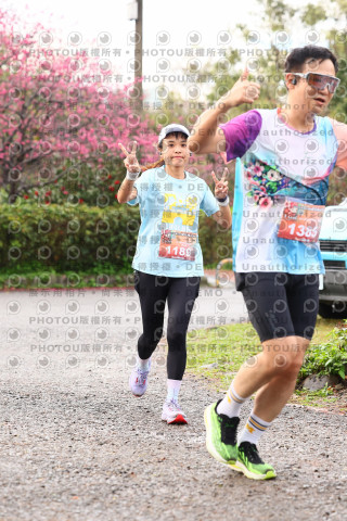 2026左岸竹東櫻花馬拉松Zhudong Sakura Marathon