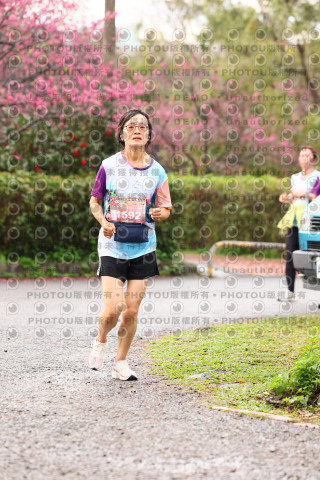 2026左岸竹東櫻花馬拉松Zhudong Sakura Marathon