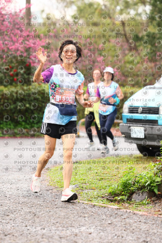 2026左岸竹東櫻花馬拉松Zhudong Sakura Marathon